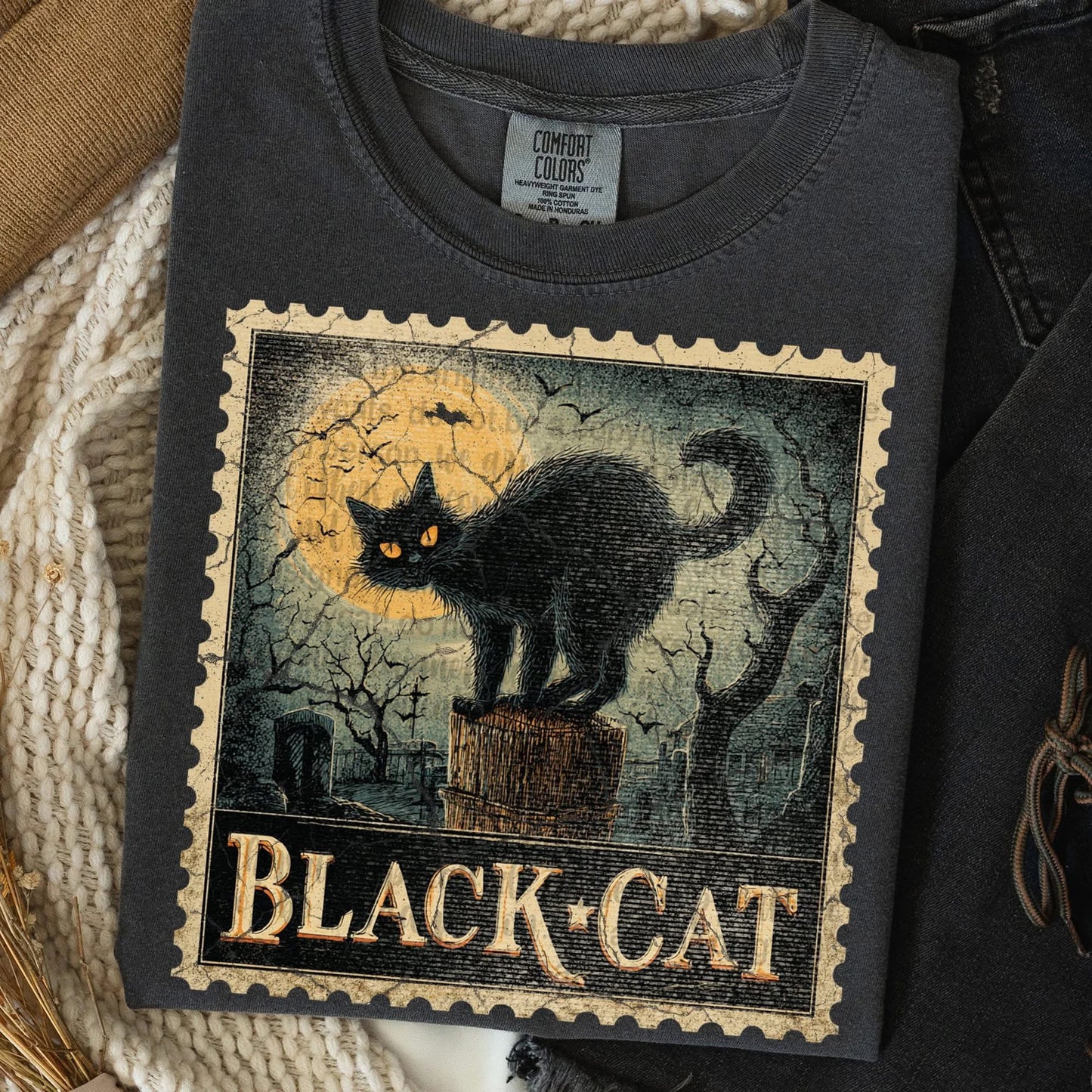 Black cat
